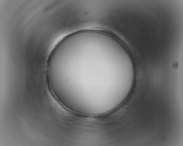 X0000110761463200906150918