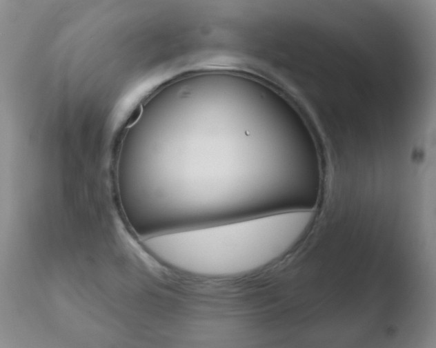 X0000110761464200906150918