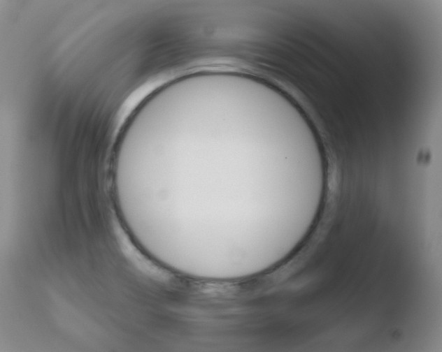 X0000110761466200906150918