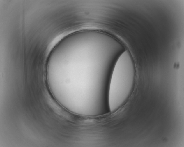 X0000110761467200906150918