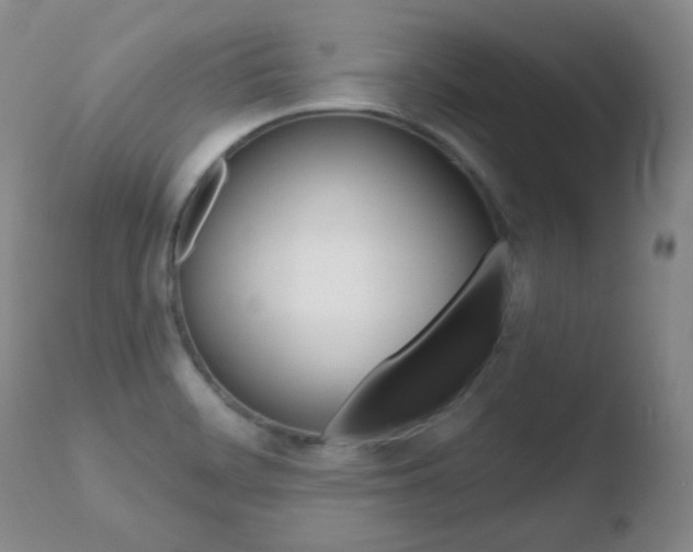 X0000110761468200906150918