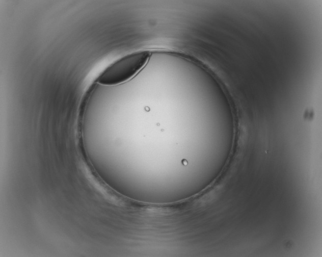 X0000110761469200906150918