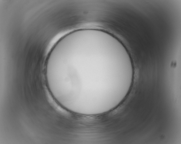X0000110761470200906150918