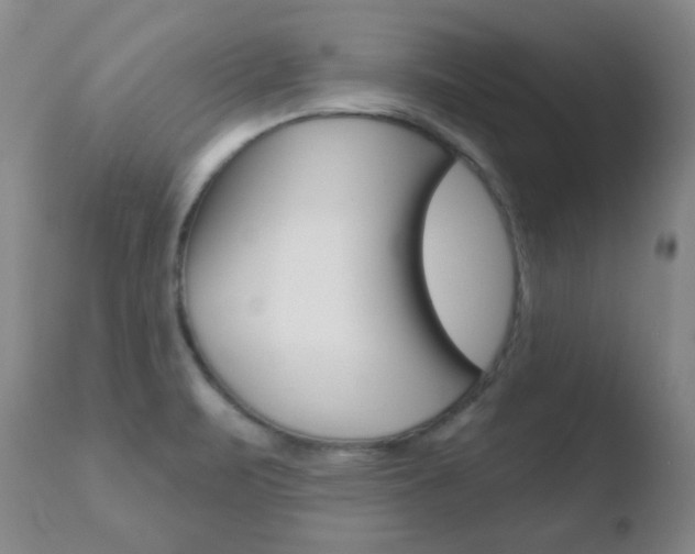X0000110761471200906150918