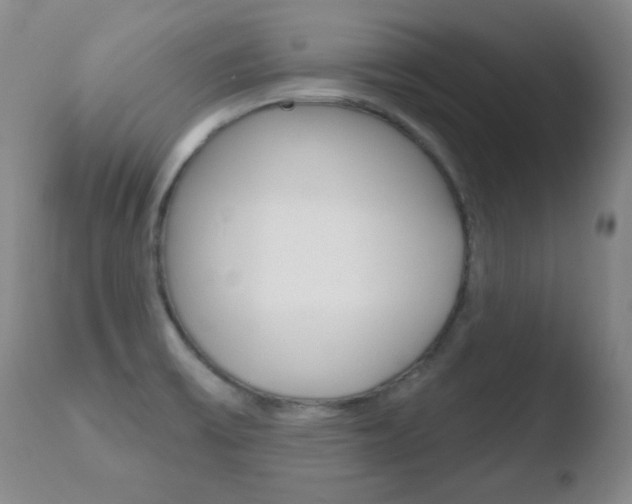 X0000110761475200906150918
