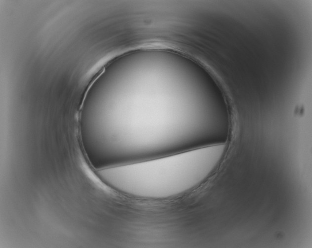 X0000110761476200906150918
