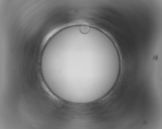 X0000110761477200906150918