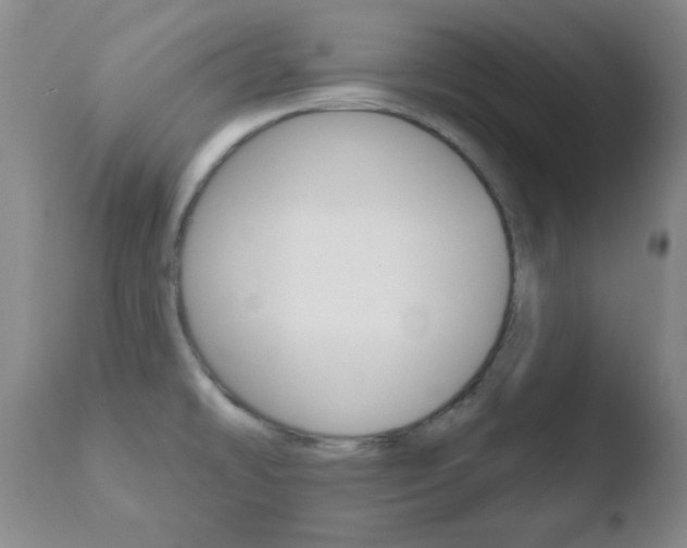 X0000110761478200906150918