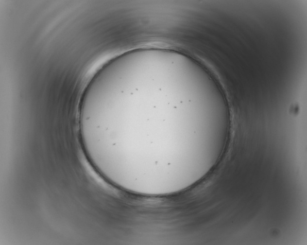 X0000110761479200906150918