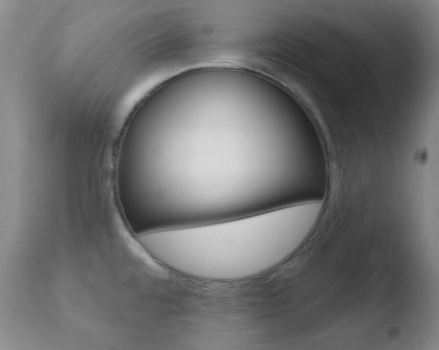 X0000110761480200906150918