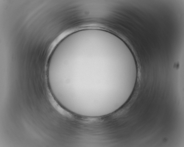 X0000110761482200906150918