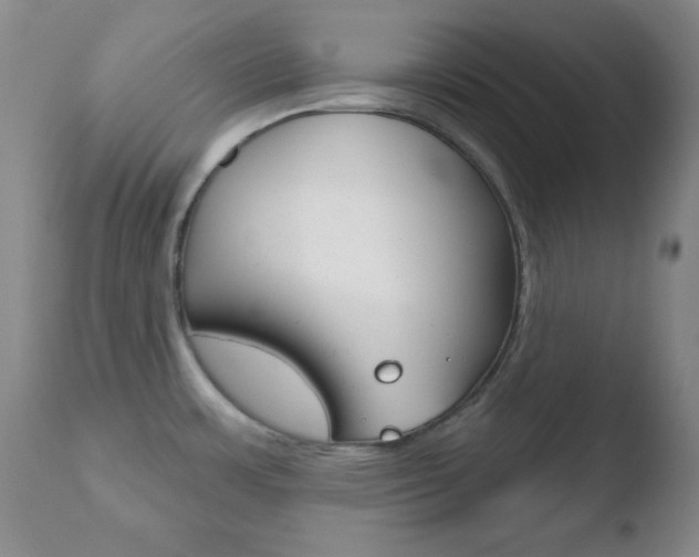 X0000110761483200906150918
