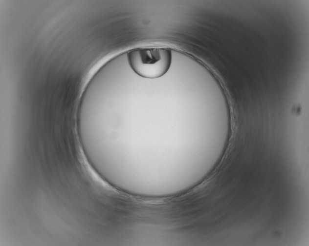 X0000110761484200906150918