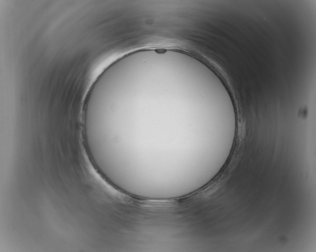 X0000110761487200906150918