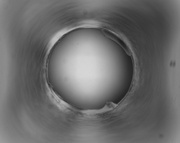 X0000110761488200906150918