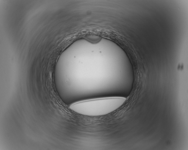 X0000110761489200906150917