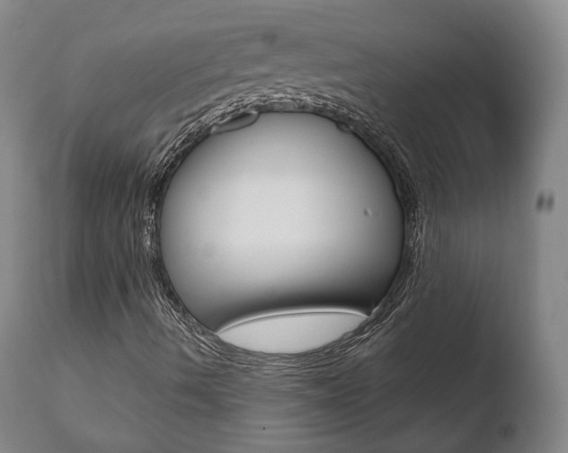 X0000110761490200906150917