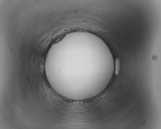 X0000110761491200906150917
