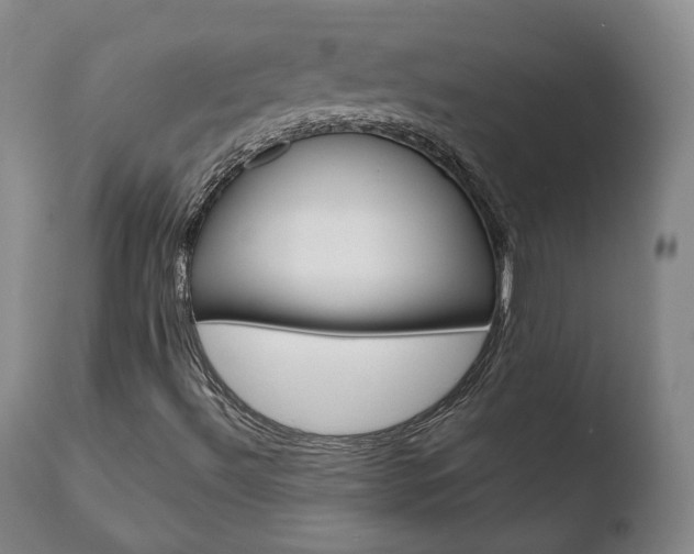X0000110761492200906150917