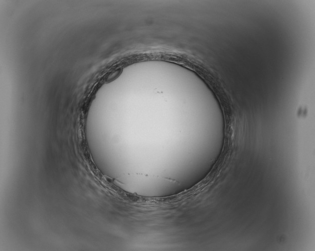 X0000110761493200906150917