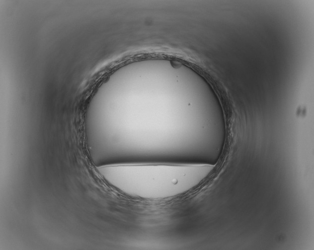 X0000110761494200906150917