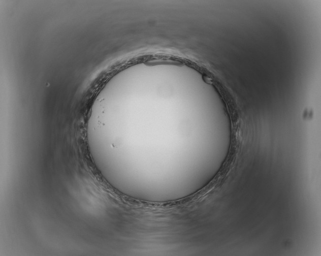 X0000110761495200906150917