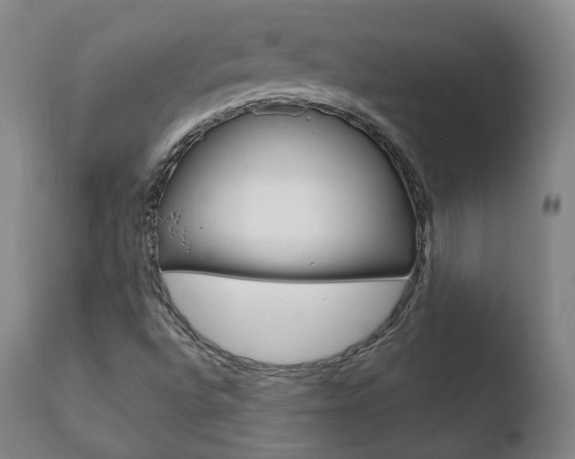 X0000110761496200906150917