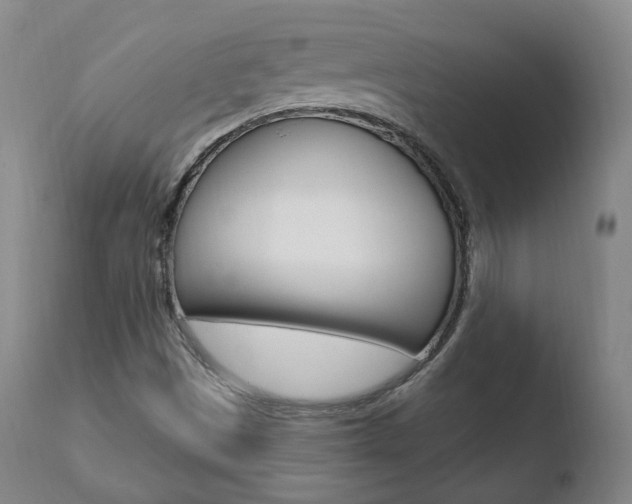 X0000110761497200906150917