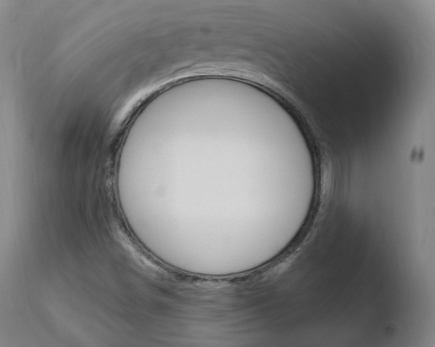 X0000110761498200906150917