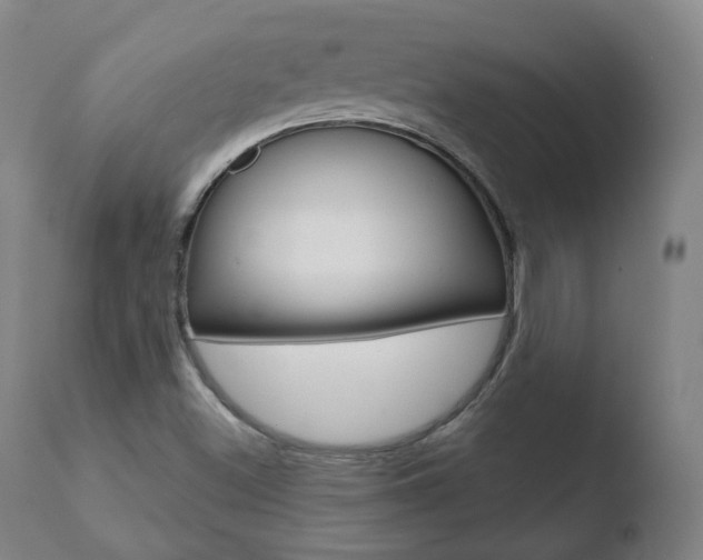 X0000110761500200906150917