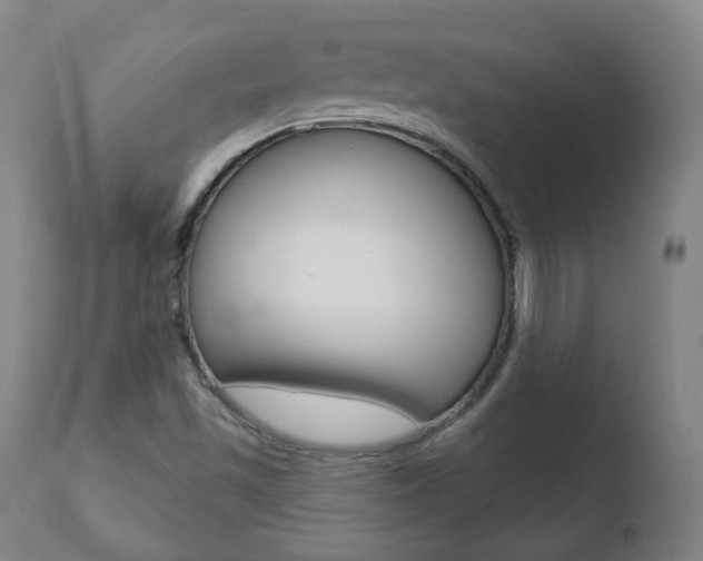 X0000110761501200906150917