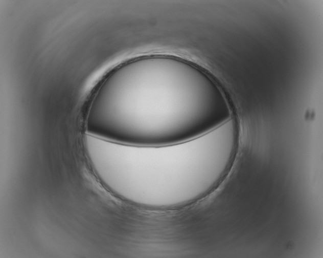 X0000110761502200906150917
