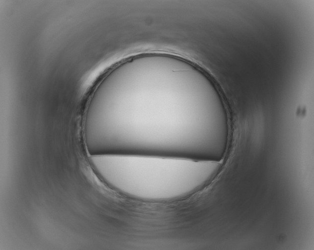 X0000110761503200906150917