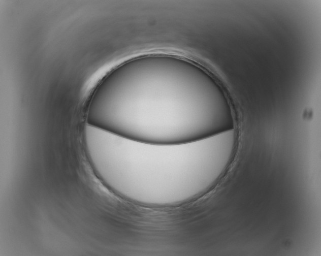 X0000110761504200906150917