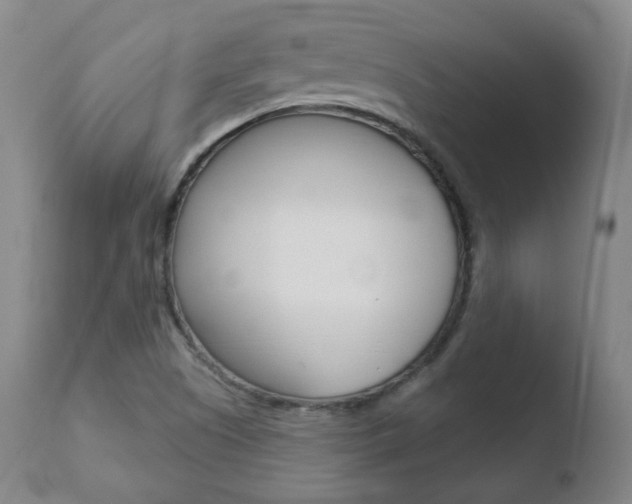 X0000110761505200906150917