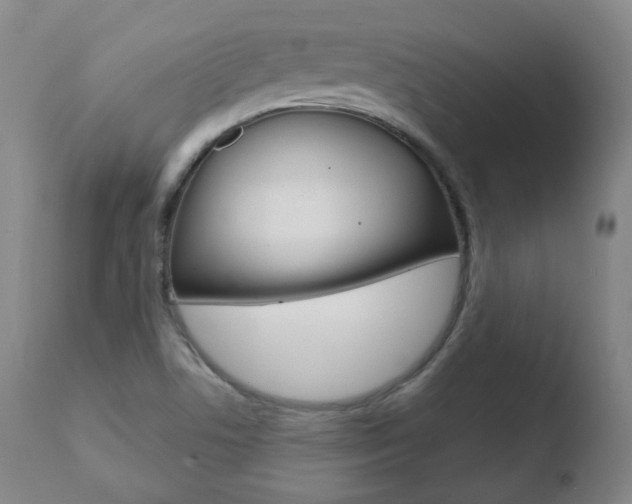 X0000110761506200906150917