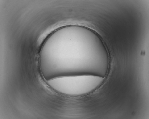 X0000110761507200906150917