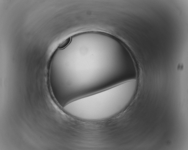 X0000110761508200906150917