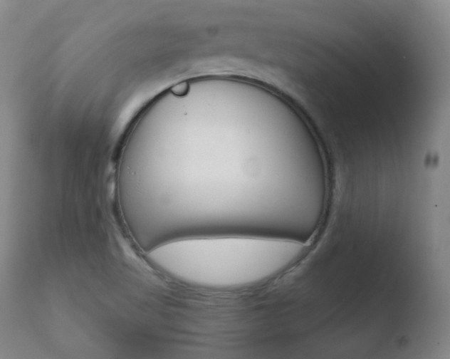 X0000110761509200906150917