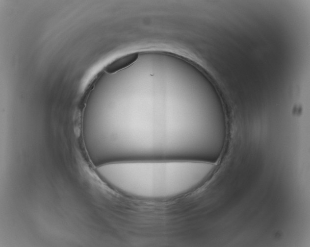 X0000110761510200906150917