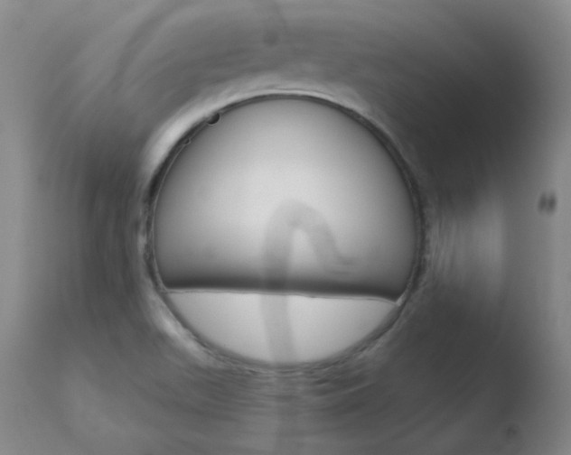 X0000110761511200906150917