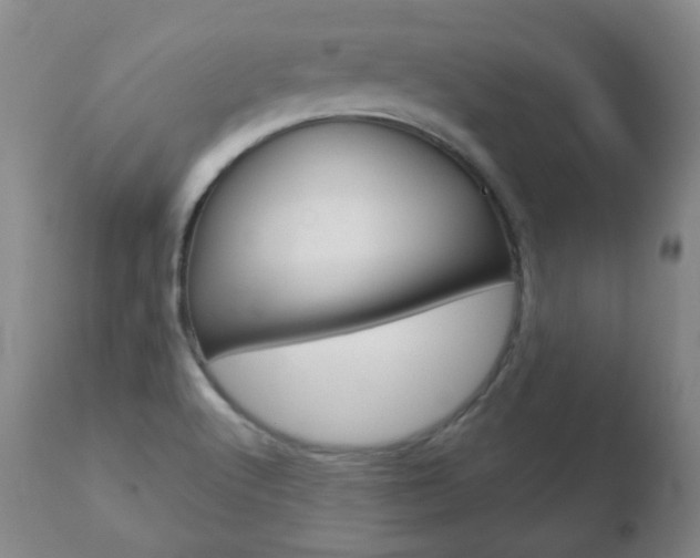 X0000110761512200906150917