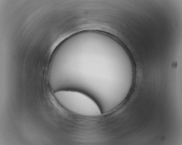 X0000110761513200906150917