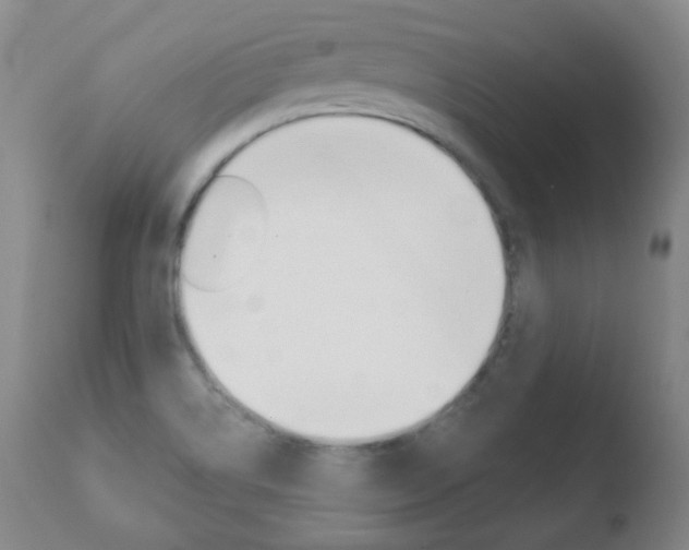 X0000110761514200906150917