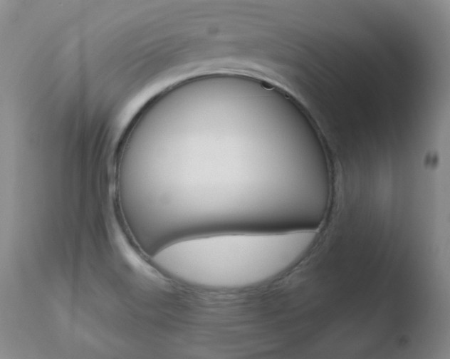 X0000110761515200906150917