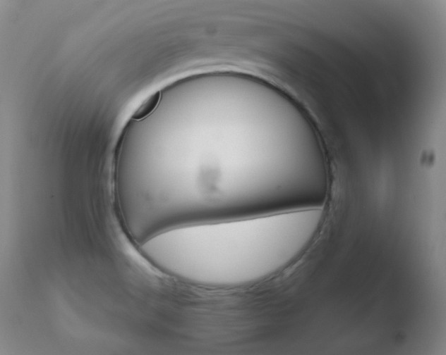 X0000110761516200906150918