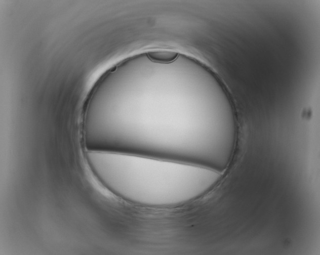 X0000110761519200906150918