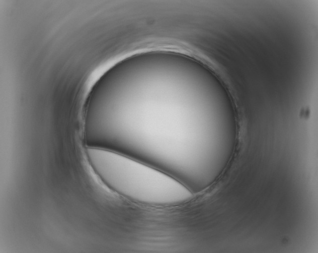 X0000110761520200906150918