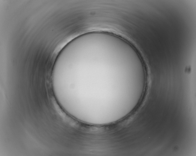 X0000110761521200906150918