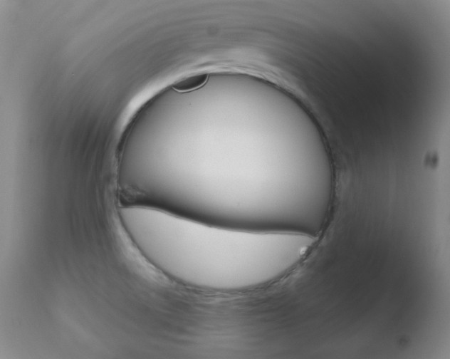 X0000110761522200906150918